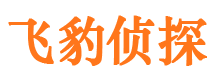 鄯善外遇出轨调查取证